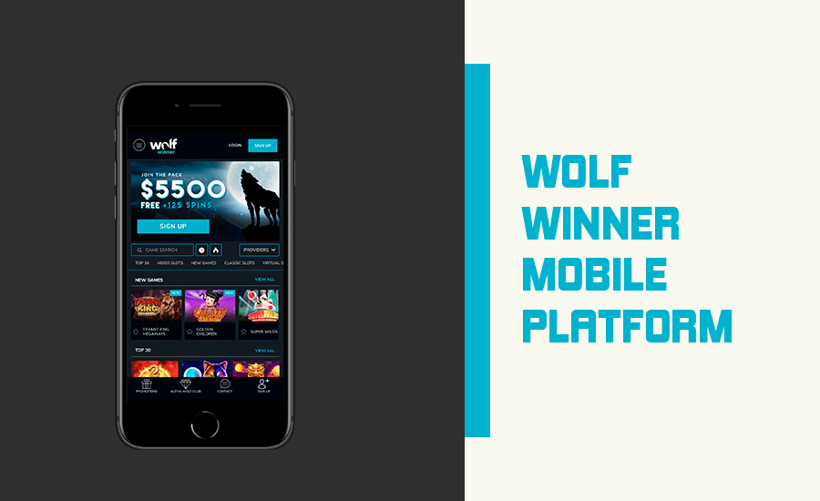 Wolf Winner Casino Mobile Platform
